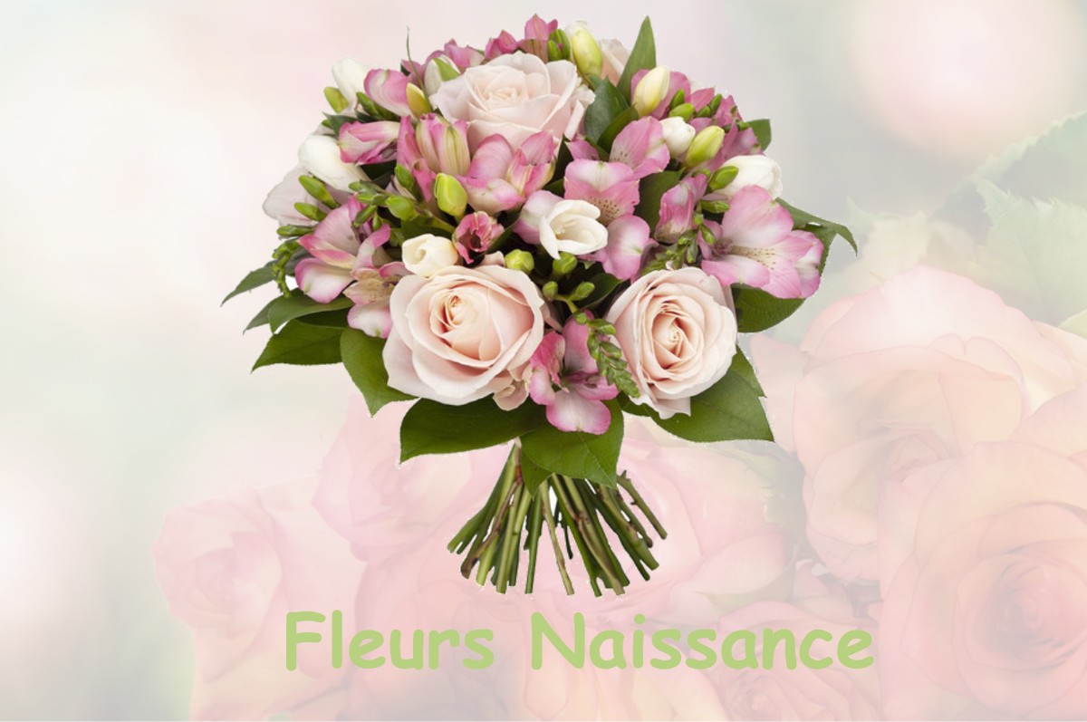 fleurs naissance LA-LOUVIERE-LAURAGAIS