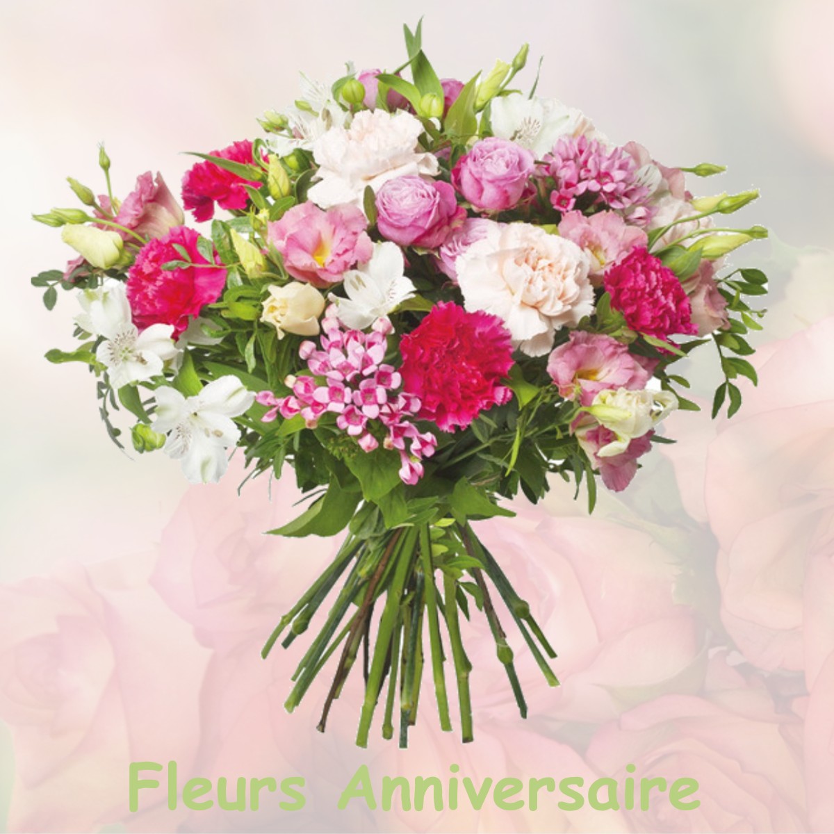 fleurs anniversaire LA-LOUVIERE-LAURAGAIS