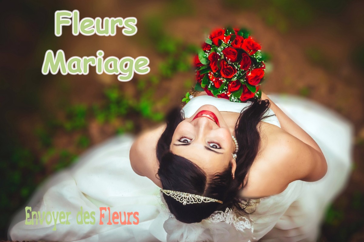 lIVRAISON FLEURS MARIAGE à LA-LOUVIERE-LAURAGAIS